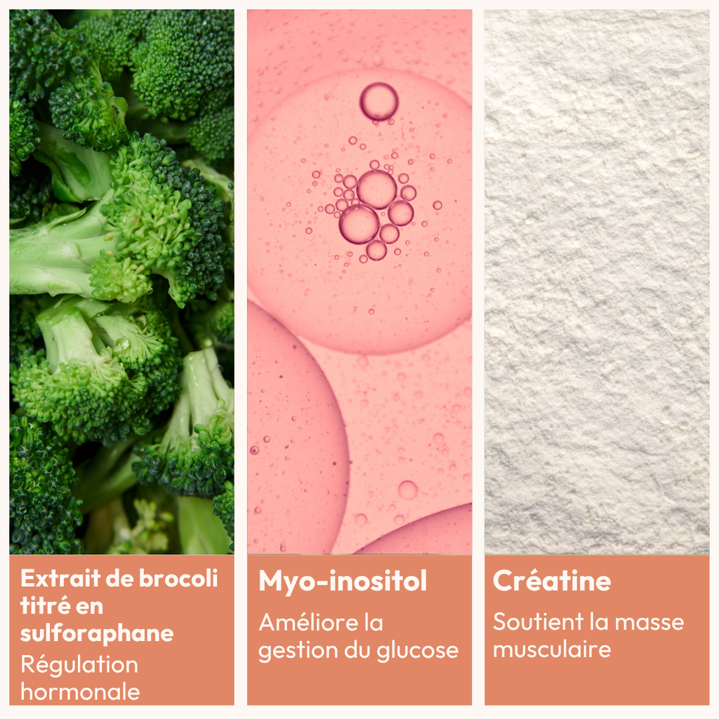 Brocoli, myo-inositol et créatine, les actifs de l’Activateur de métabolisme