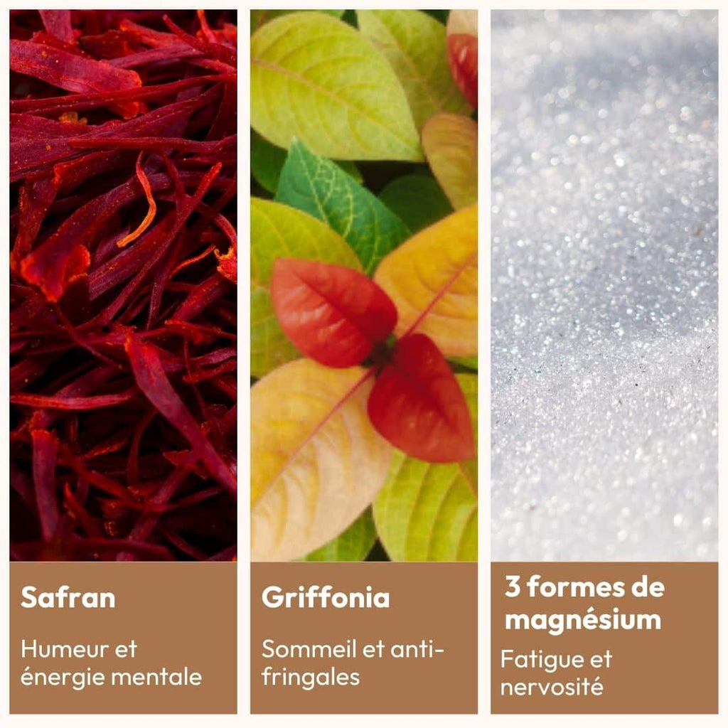 Safran, griffonia et les trois formes de magnésium d’Essentiel Sérénité