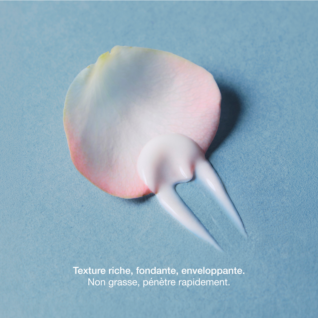 Crème repulpante visage | peptides et phyto-rétinol