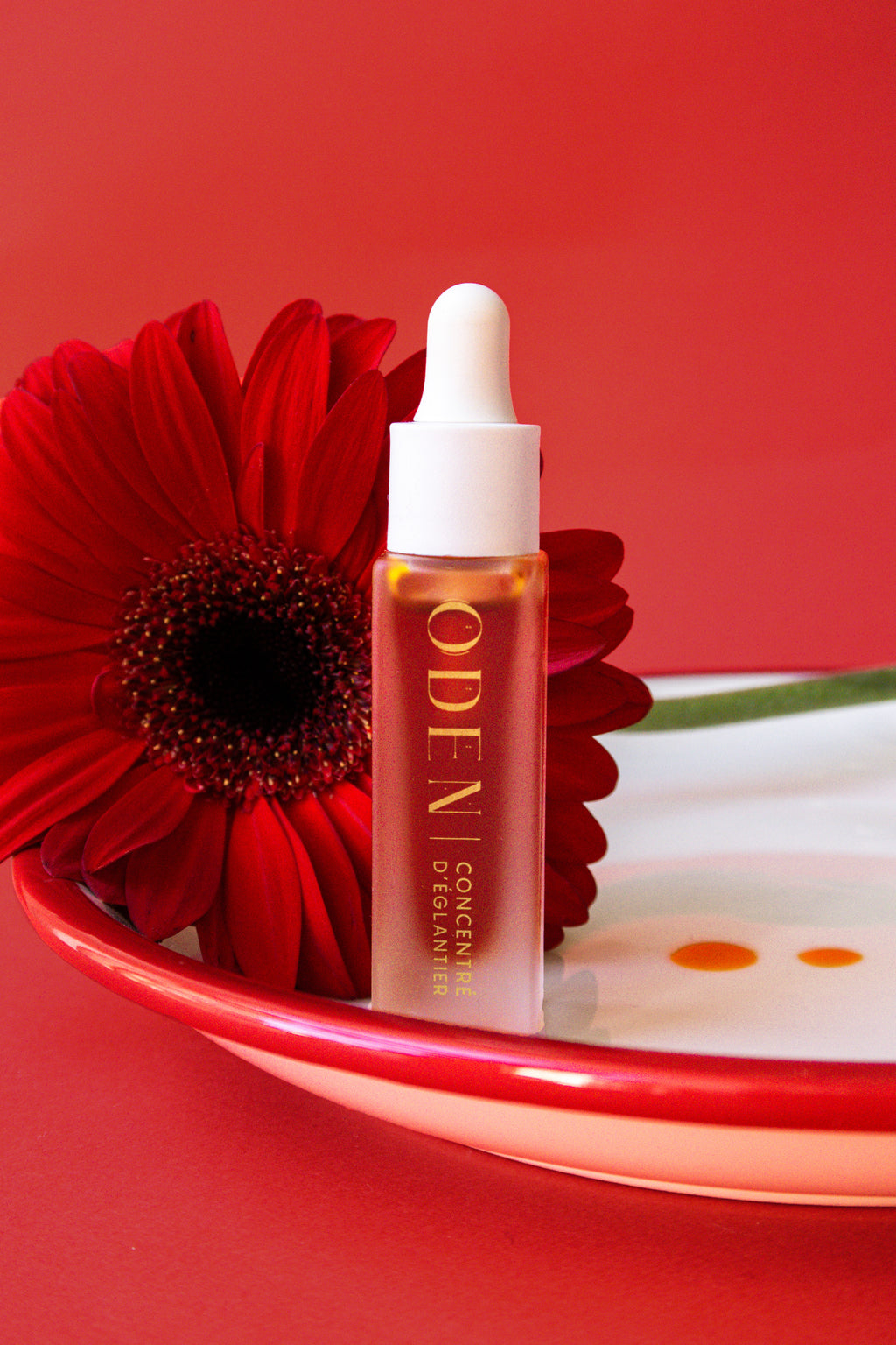 Rosehip concentrate 