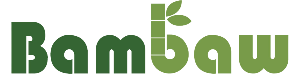 Logo Bambaw Image