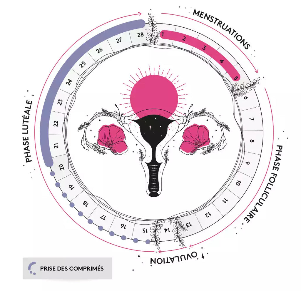 Menstruation - Cramps &amp; Menstrual Pain