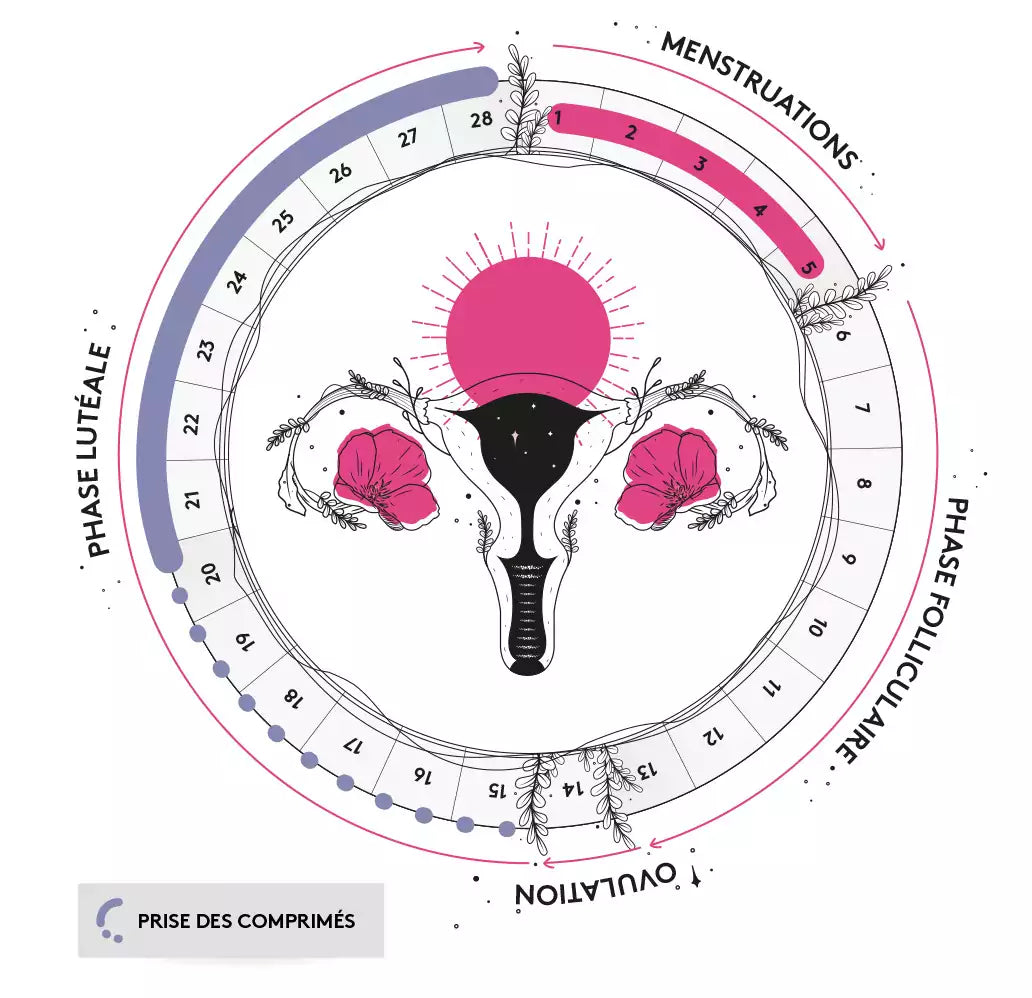 Menstruation - Cramps &amp; Menstrual Pain