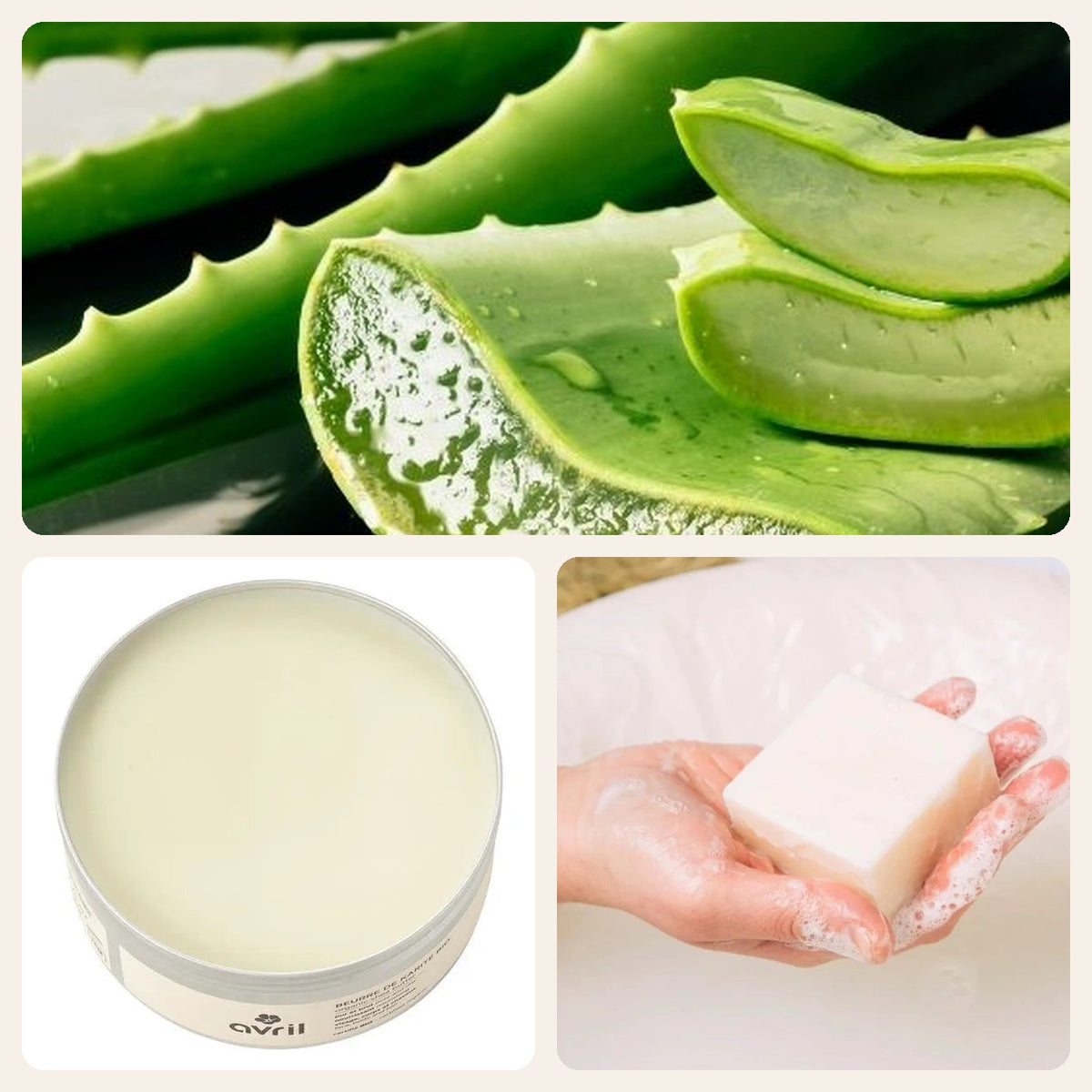 Pack Noël homme salle de bain au complet : aloe vera, beurre de karité et mousse du pain de douche Image